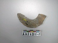藏品(打製石環)的圖片